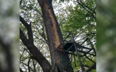 Lightning Destroys Hunter’s Ladder Stand