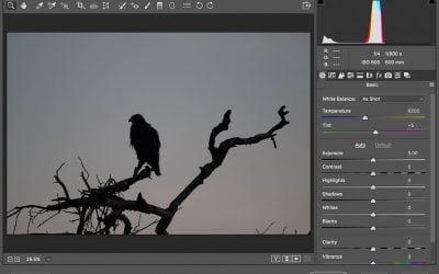 Mess With Mother Nature