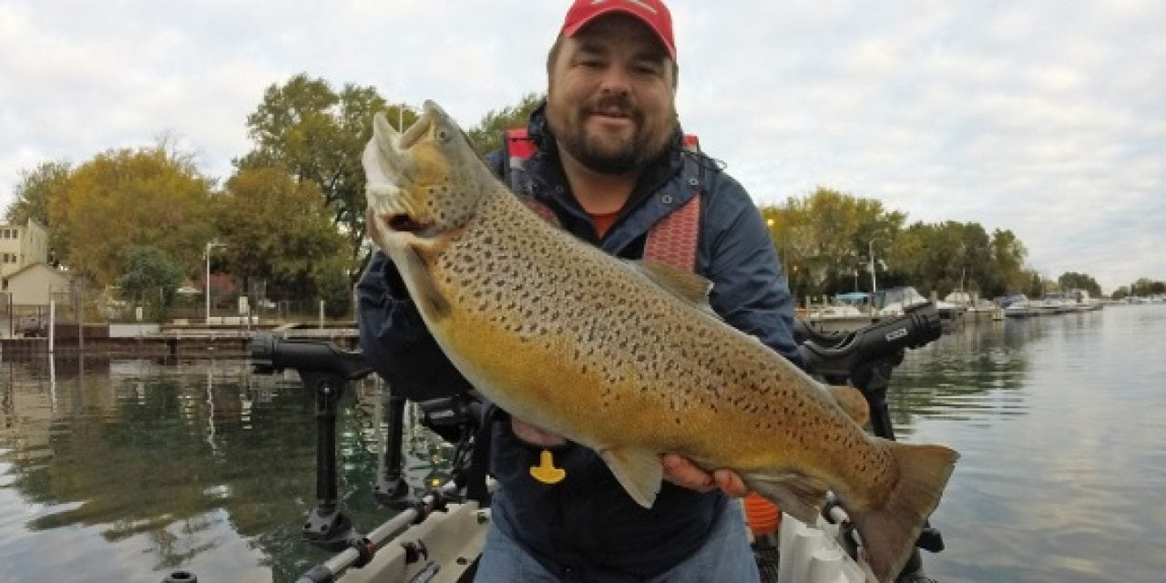 Micro Baits, Mega Results For Your Next Brown Trout Trip