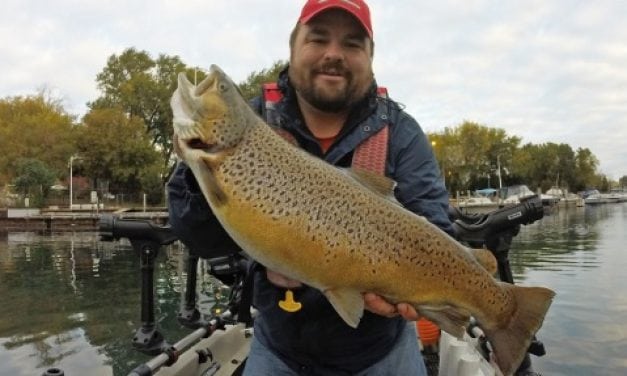 Micro Baits, Mega Results For Your Next Brown Trout Trip