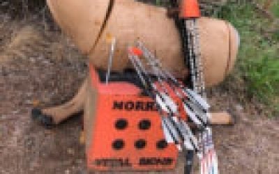 Nugent: Back To The Basics