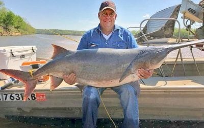 Oklahoma Man Snags New State Record Paddlefish