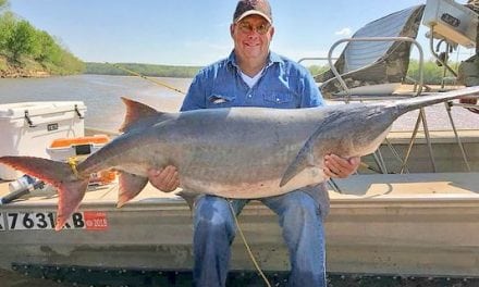 Oklahoma Man Snags New State Record Paddlefish