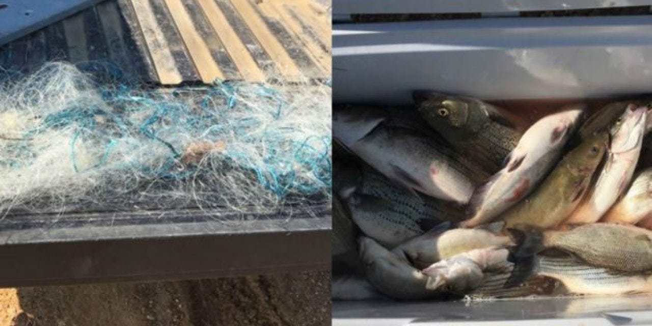 Oklahoma Wardens Bust Gill Net Poachers From Arkansas