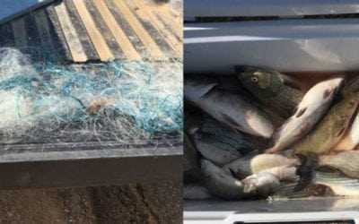 Oklahoma Wardens Bust Gill Net Poachers From Arkansas