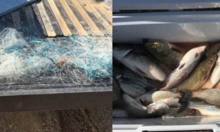 Oklahoma Wardens Bust Gill Net Poachers From Arkansas