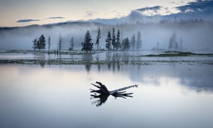 Photo Of The Day By Jon Berndt