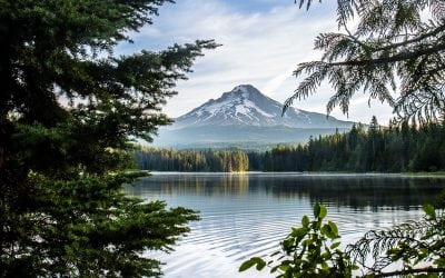 Photo Of The Day By Kayte Dolmatch