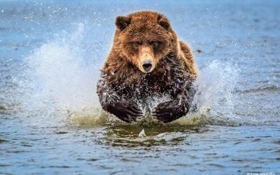 Photo Of The Day By Lew Abulafia