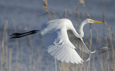 Photo Of The Day By Richard Slack