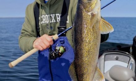 Post-Spawn Walleyes Strategies With Hard Baits