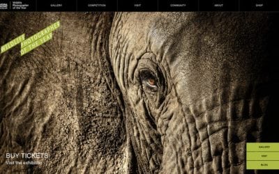 reCOMPOSE Podcast 032: The Dark Side of Photography