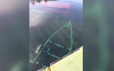 See? I Knew I Left the Boat and Trailer Here!