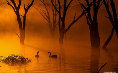 Showcase: April 2018