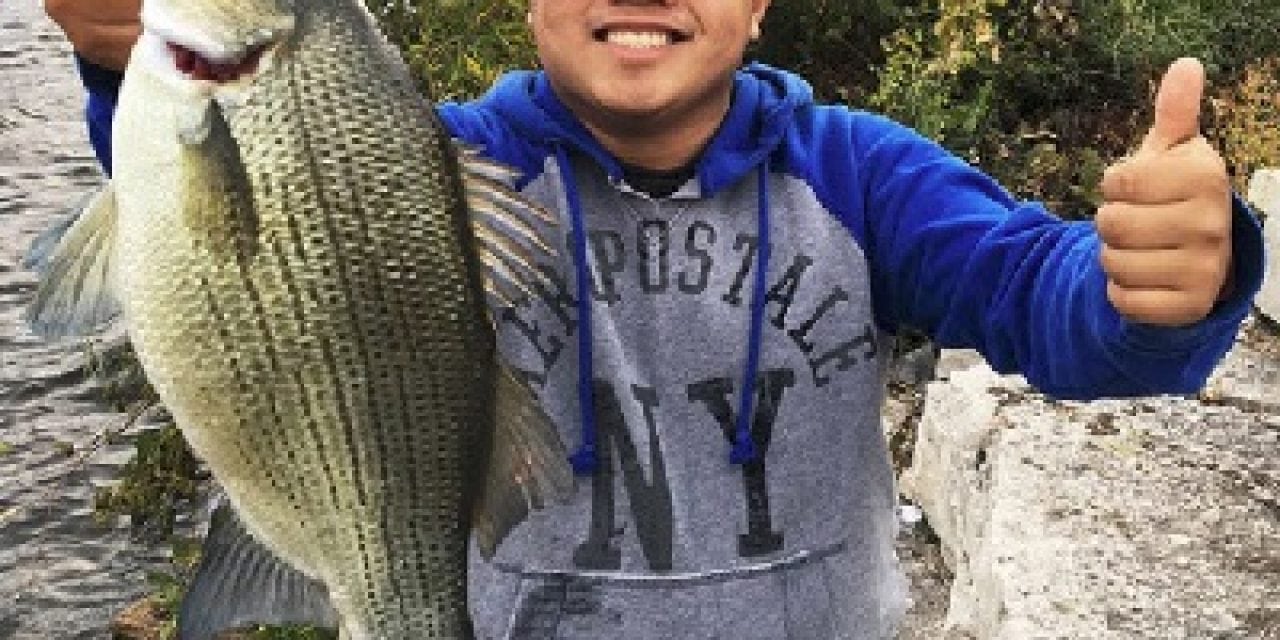 St. Paul angler catches state record white bass in Vadnais Lake