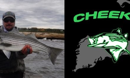 Stripers Forever Release A Breeder Program