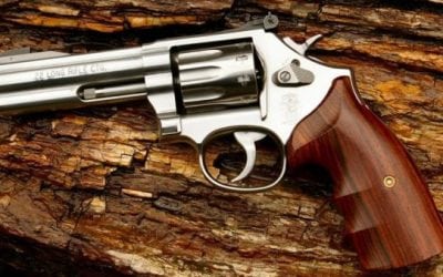 Sunday Gunday: 4 Perfect .22 Handguns for a Walk in the Woods