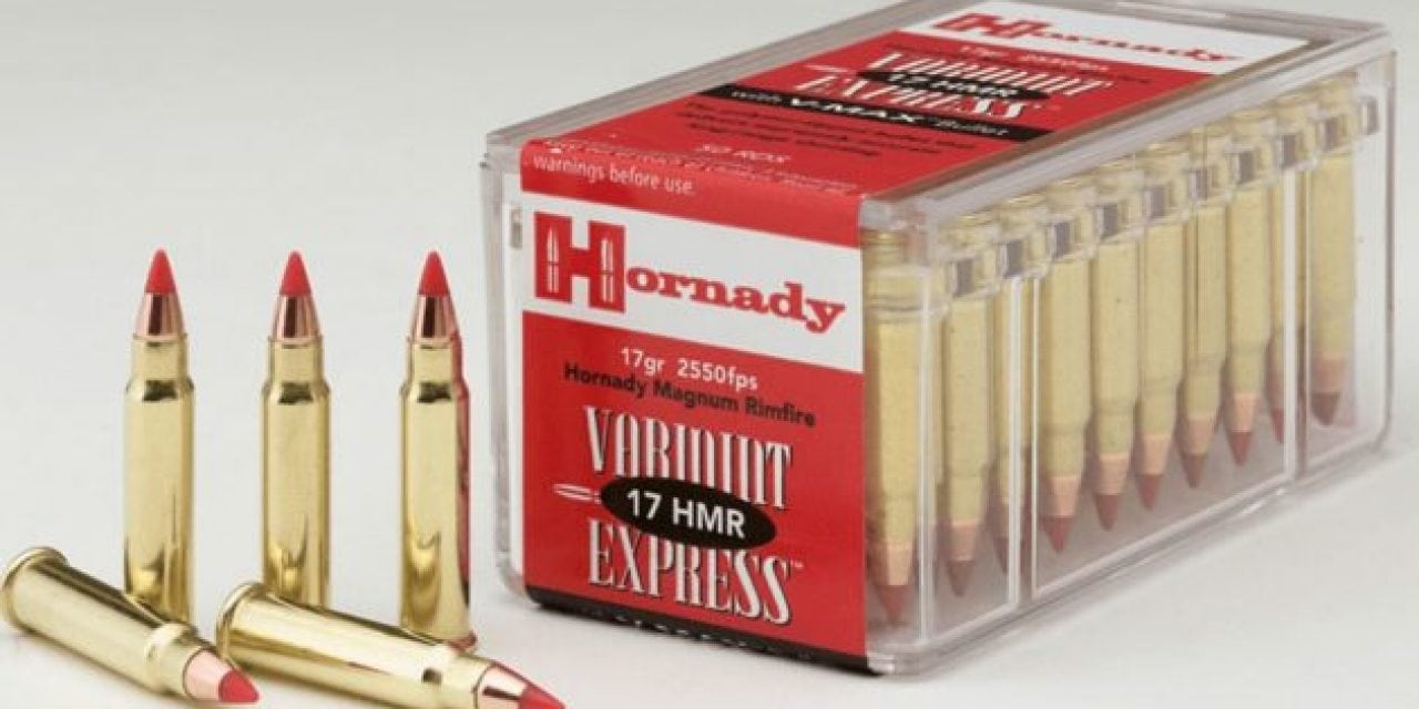 Taking a Closer Look at the .17 HMR Rifle Cartridge