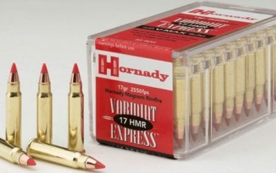 Taking a Closer Look at the .17 HMR Rifle Cartridge