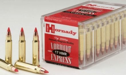 Taking a Closer Look at the .17 HMR Rifle Cartridge