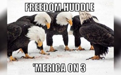 The 10 Greatest Quotes From the 2018 NRA Convention