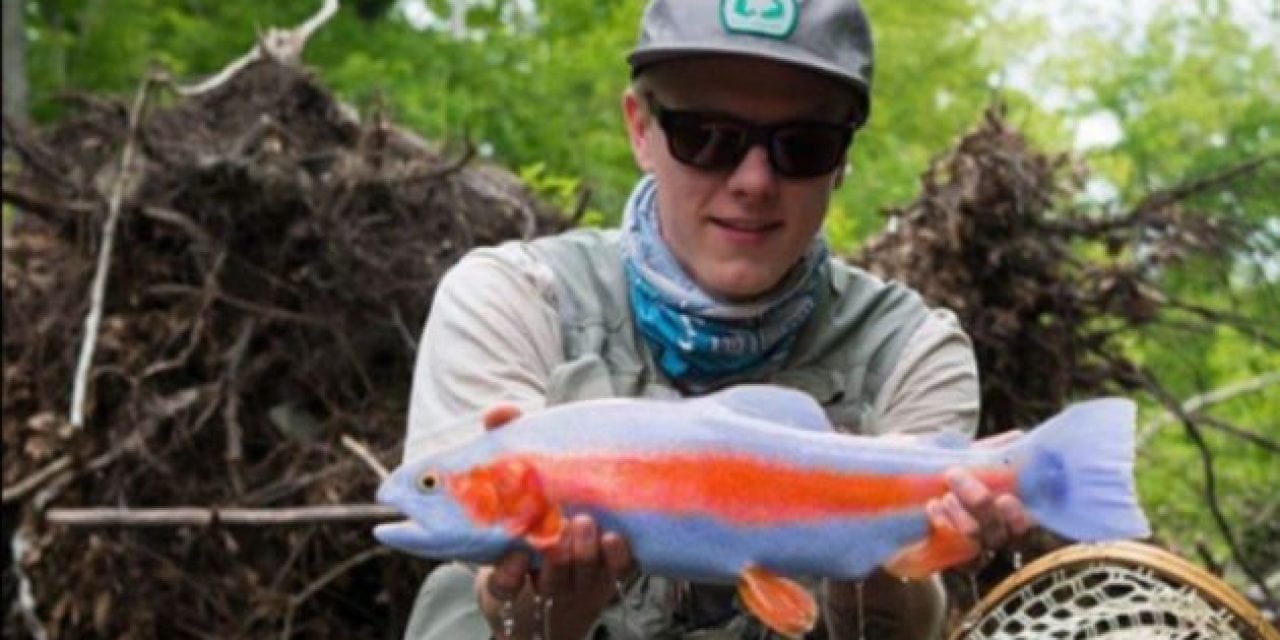 This Blue Bow Trout Species Can’t Be Real, Can It?