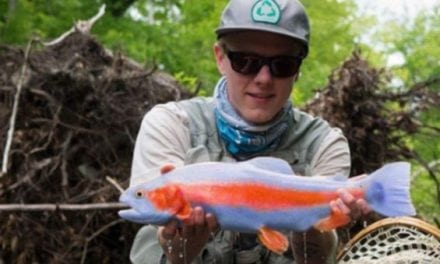 This Blue Bow Trout Species Can’t Be Real, Can It?
