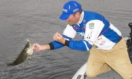 Tournament Pro Clark Reehm Likes Floating Jerkbaits for Cold Water Bass