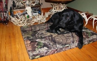 Treat Your Pets to the Superior Comfort and Quality of a Thermabed