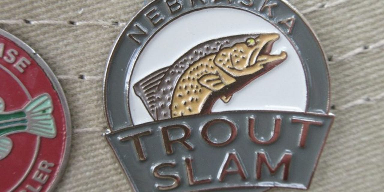 Trout Slam Update, May 2018