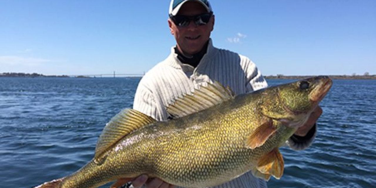 UPDATE: New York Officially Has a New Walleye Record