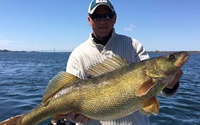 UPDATE: New York Officially Has a New Walleye Record
