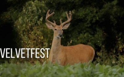 #VelvetFest: The Official Start to Deer Season!