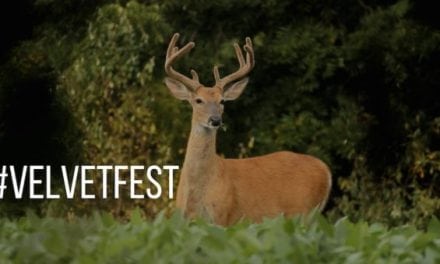 #VelvetFest: The Official Start to Deer Season!