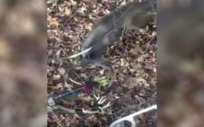 Video: Every Bowhunter’s Worst Nightmare