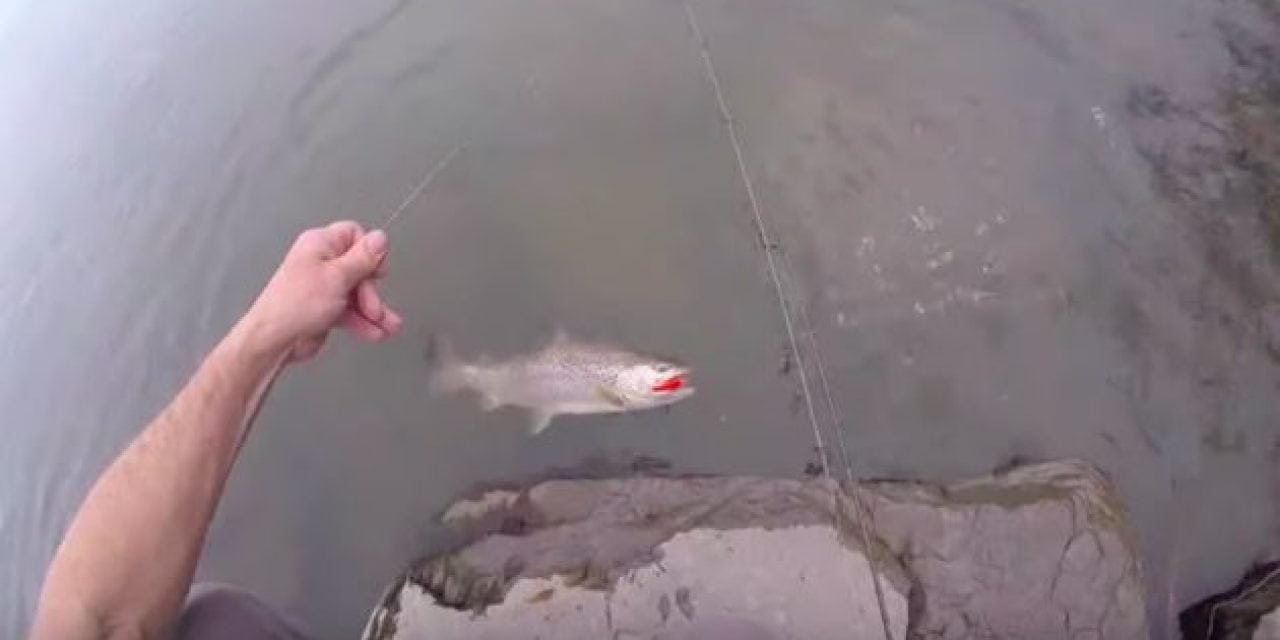 Video: Here’s What a Nice Brown Trout Thinks of an Orange Stick Bait