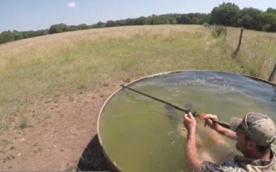 Video: Tim Wells Submerges Himself in Water to Stalk Ram