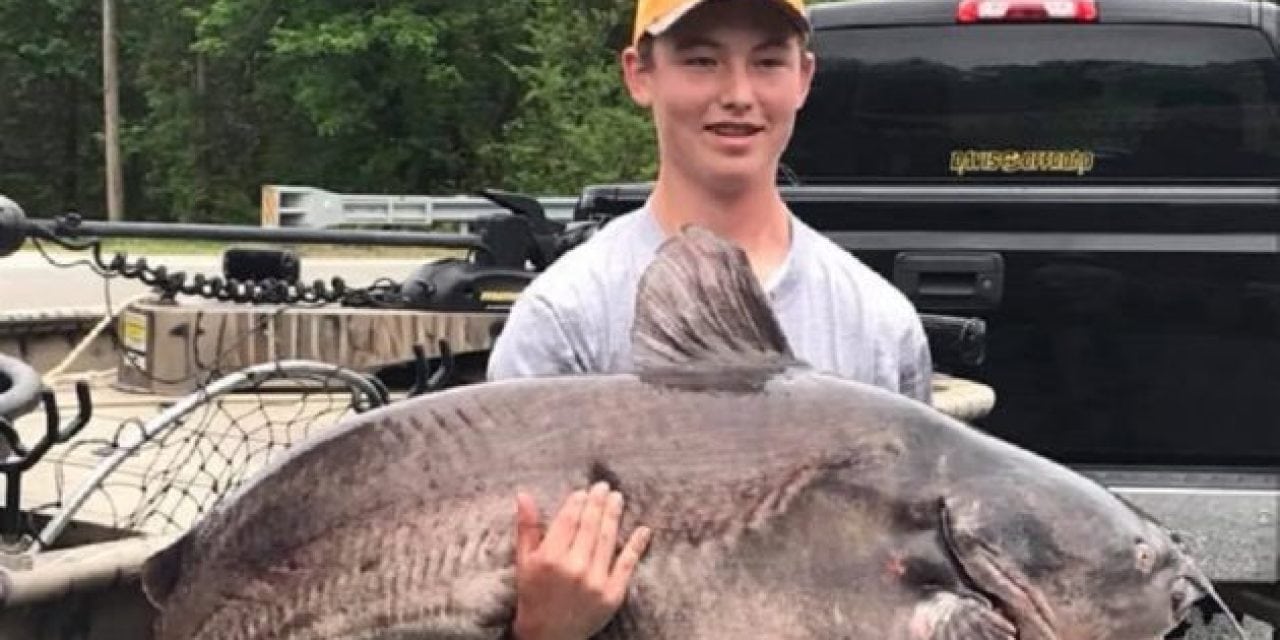 Virginia Angler Catches and Releases 102-Pound Blue Catfish