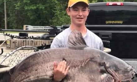 Virginia Angler Catches and Releases 102-Pound Blue Catfish