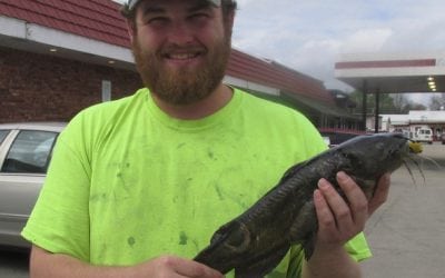 Wappapello angler sticks state-record yellow bullhead while bowfishing