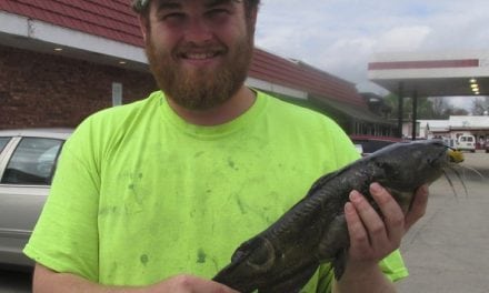 Wappapello angler sticks state-record yellow bullhead while bowfishing