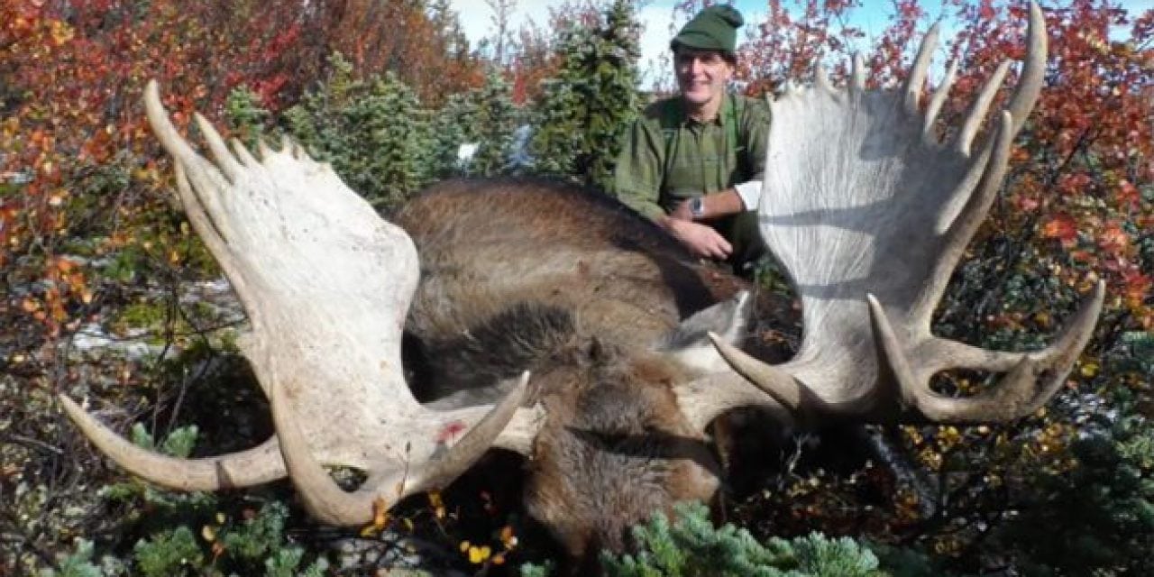 Watch This Incredible British Columbia Moose Hunt