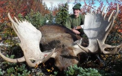 Watch This Incredible British Columbia Moose Hunt