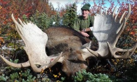 Watch This Incredible British Columbia Moose Hunt