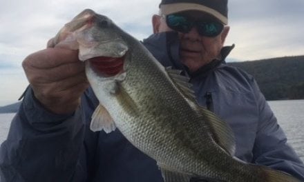 Winter Locations For Big Largemouth