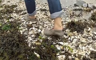 Would You Buy Chainmail Socks?