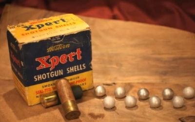 10-Gauge Added to the Cartridge Hall of Fame