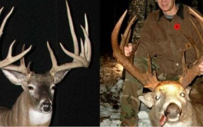 12 of the Biggest Poached Deer Ever Stolen from Law-Abiding Hunters