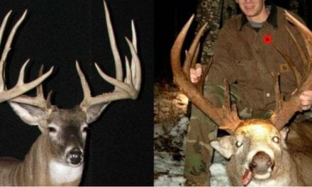12 of the Biggest Poached Deer Ever Stolen from Law-Abiding Hunters