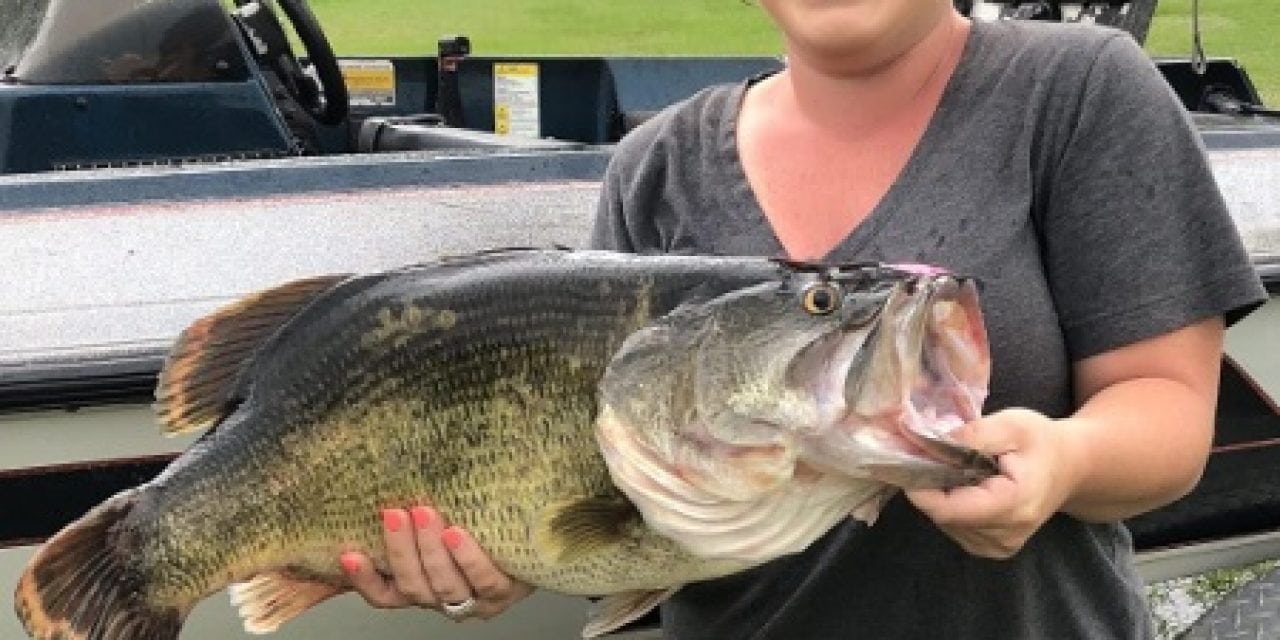 14 Pounder Caught at New South Georgia Lake